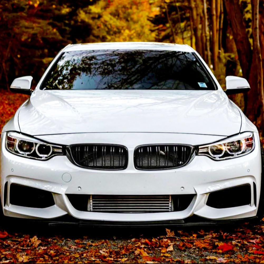 F32 Front Grille Compatible with BMW 4 Series F32 F33 F36/M3 F80/M4 F82 F83 2014-2019 ABS Auto Bumper Kidney Grill Cover Body