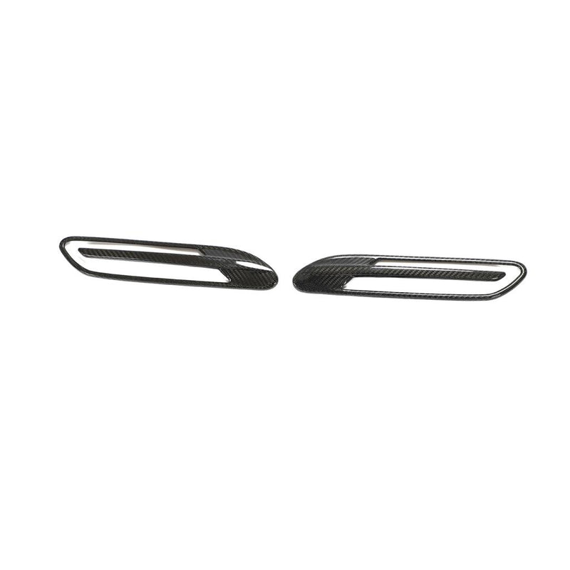 Mercedes-Benz AMG GT 4‑Door X290 Pre‑Facelift Side Fender carbon fiber